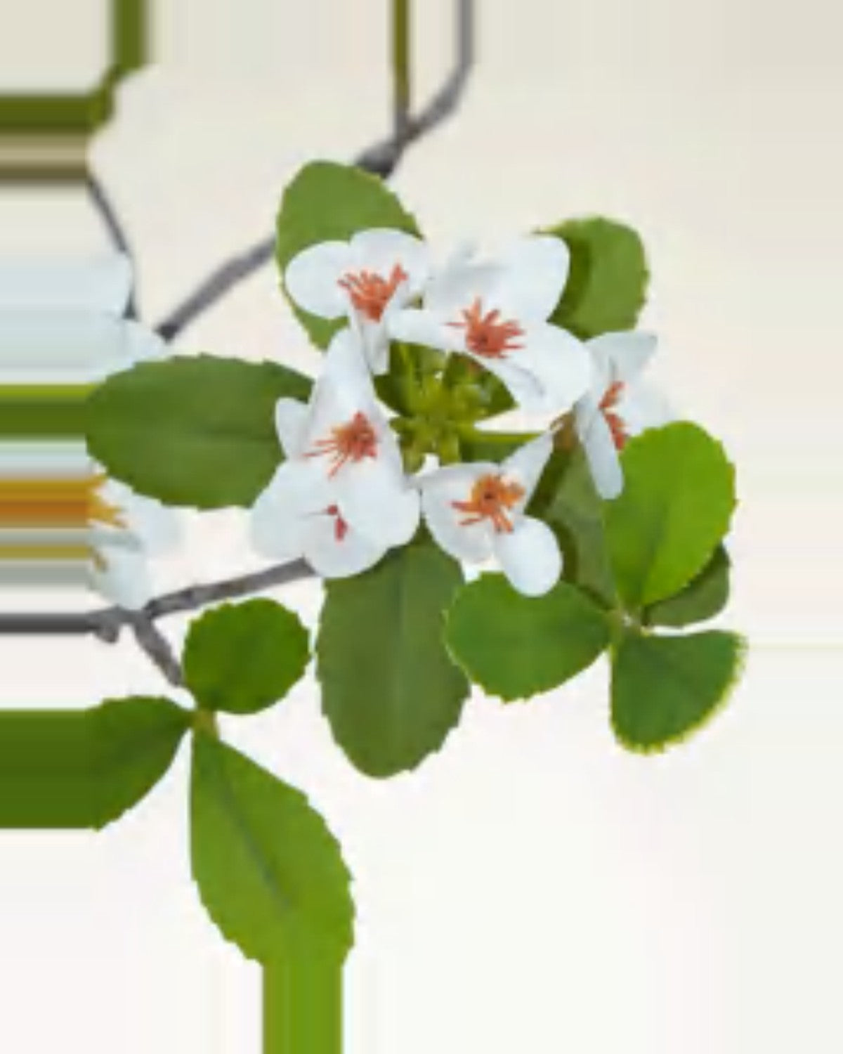 Argilla Island White Flower Tree For Decor — close-up detail 4, artificial island white flower tree for decor