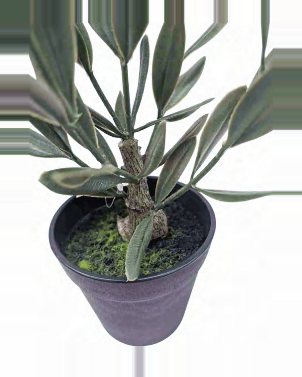 Capri Olive Tree — close-up detail 4, artificial olive tree