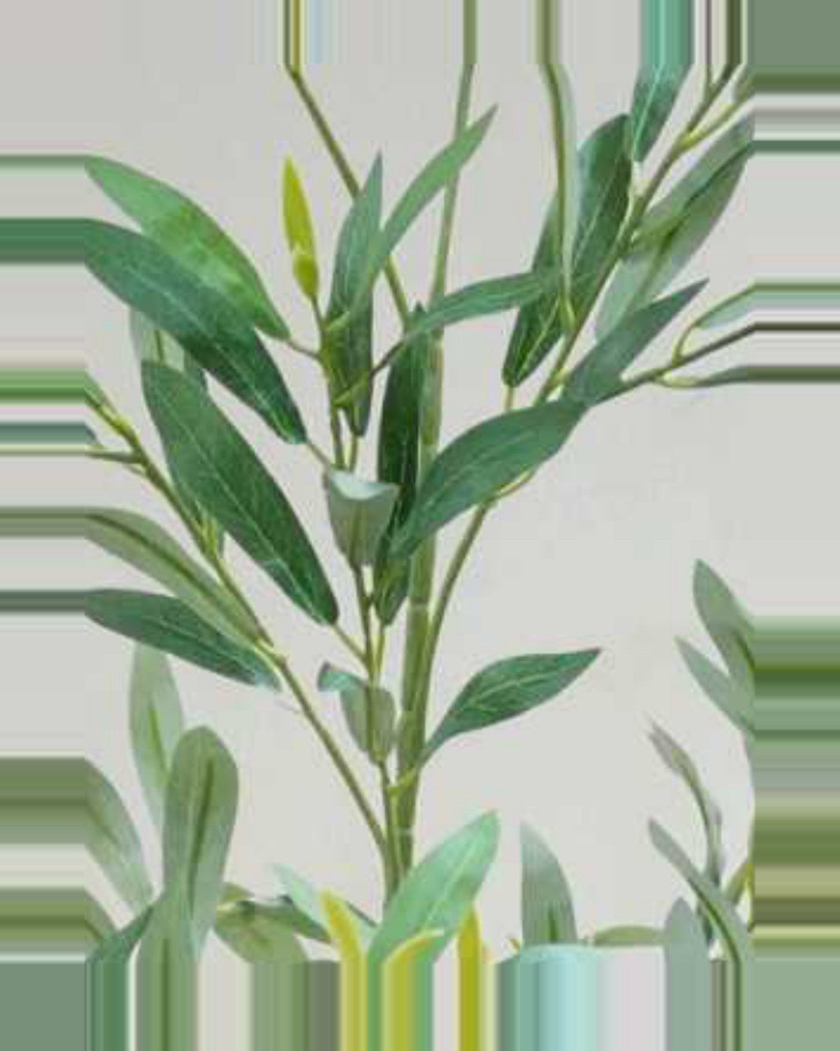 Sienese Olive Tree — close-up detail 4, artificial olive tree