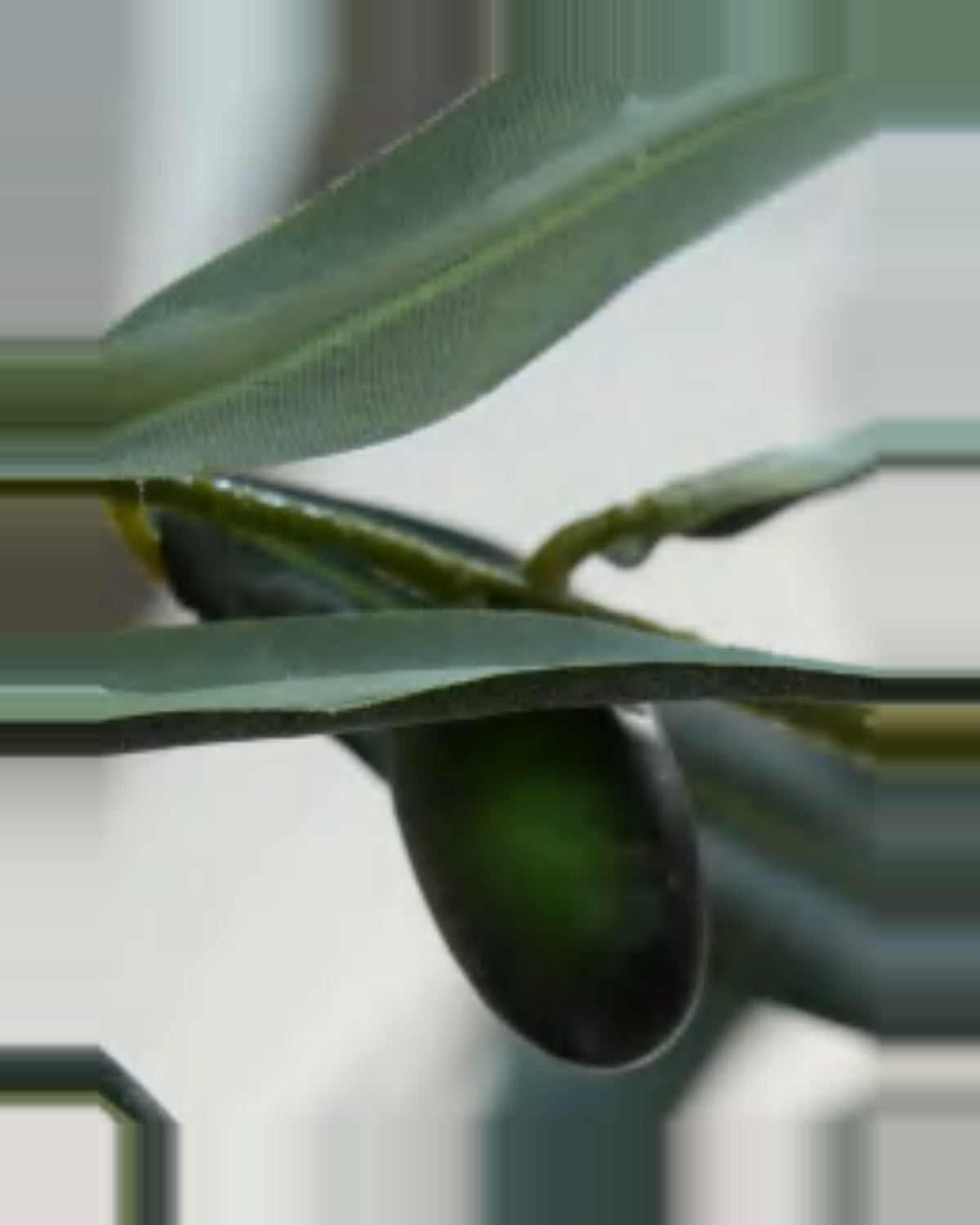 Matera Olive Fruit Leaf Tree — close-up detail 4, artificial olive fruit leaf tree