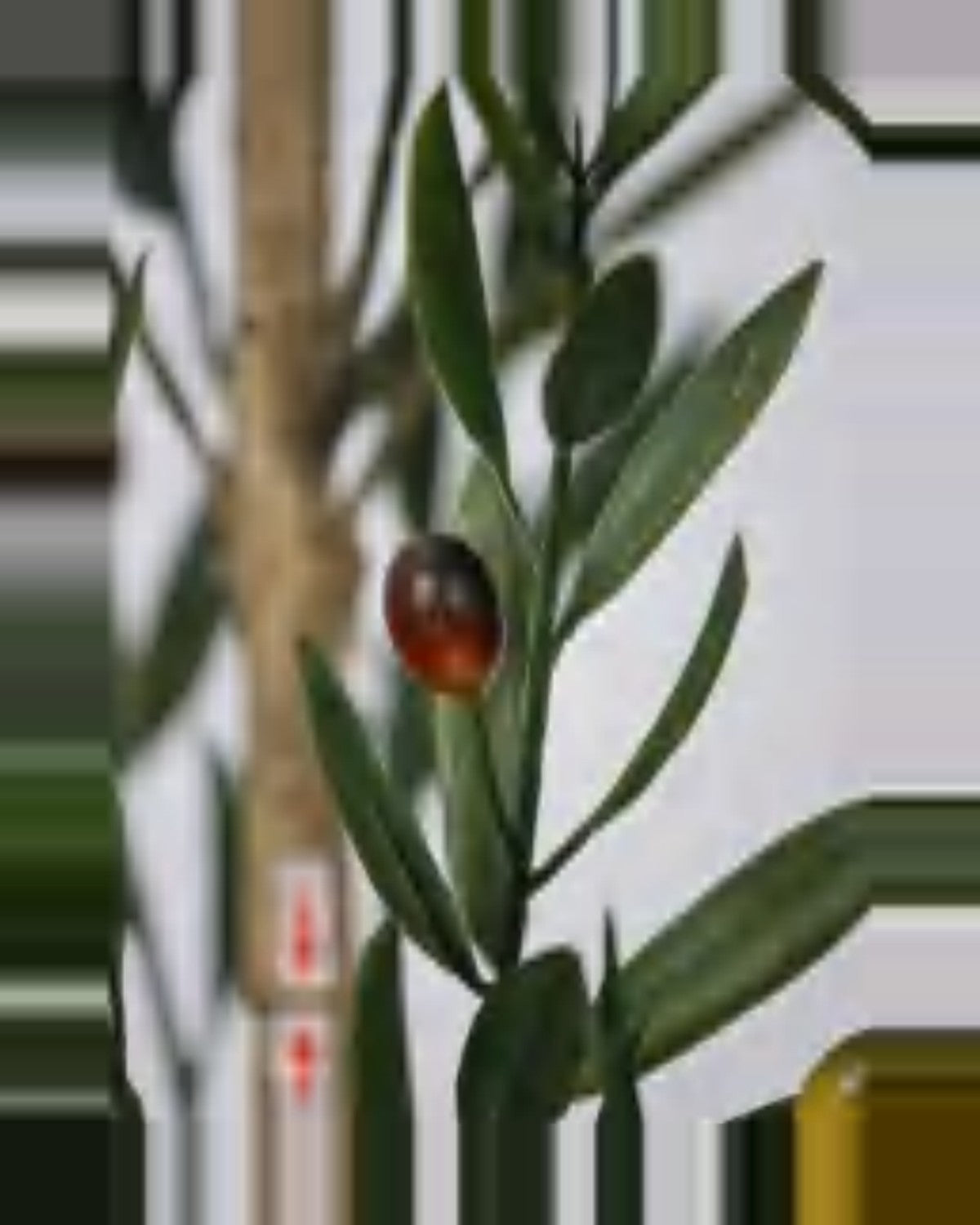 Alberobello Olive Tree — close-up detail 4, artificial olive tree