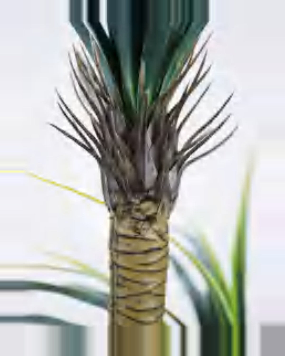 Estive Dracaena Plant — close-up detail 4, artificial dracaena plant