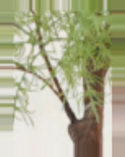 Nova Goldfish Grass Tree For Fish Tank Aquarium — close-up detail 4, artificial goldfish grass tree for fish tank aquarium