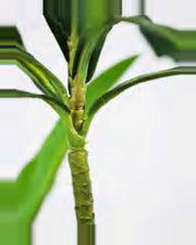 Farigoule Dracaena Plant — close-up detail 4, artificial dracaena plant