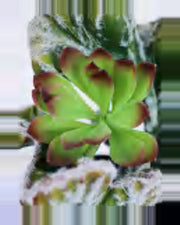 Terra Coral Cactus Euphorbia Plant — close-up detail 4, artificial coral cactus euphorbia plant