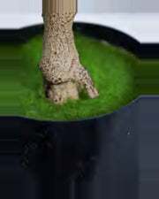 Assisi Olive Tree — close-up detail 4, artificial olive tree