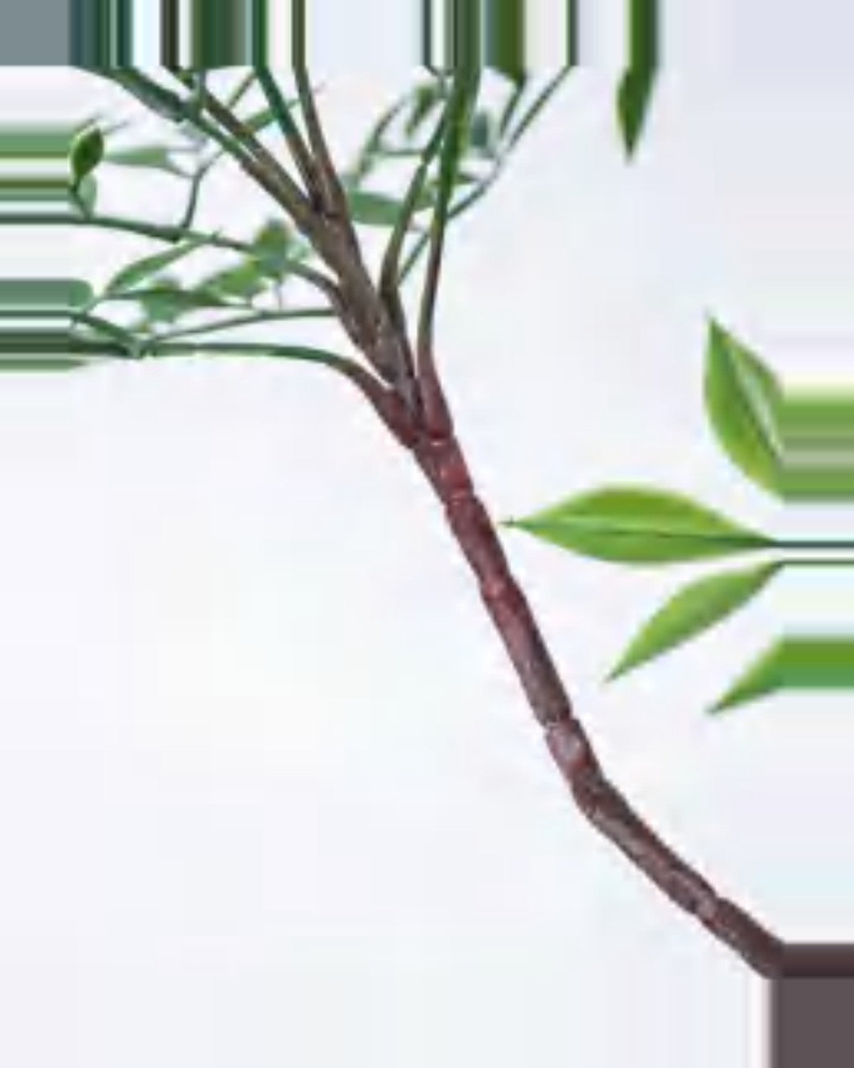 Vera Nandina Plant — close-up detail 4, artificial nandina plant