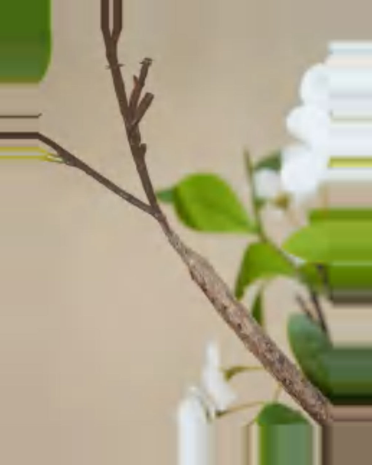 Onda Cream Blossom Tree — close-up detail 4, artificial cream blossom tree