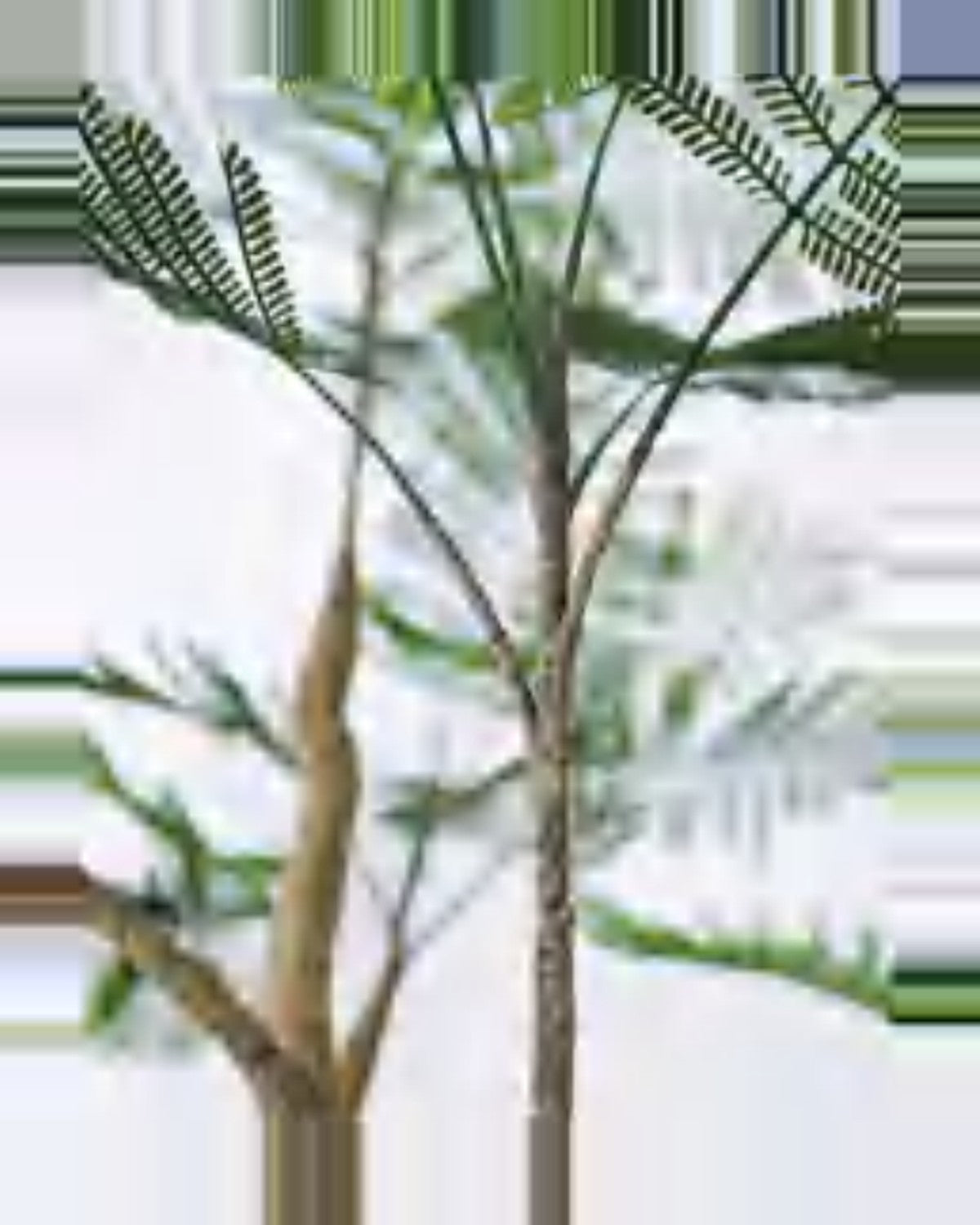 Mistral Phoenix Palm Tree — close-up detail 4, artificial phoenix palm tree