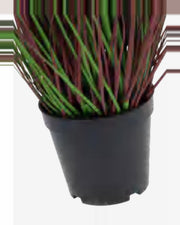 Vela Onion Grass — close-up detail 4, artificial onion grass