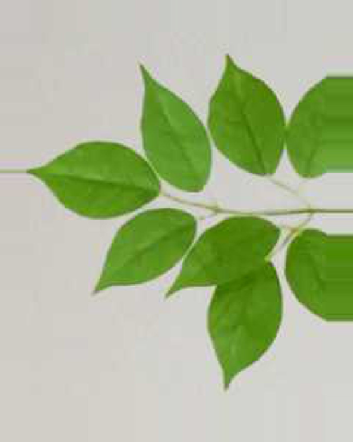 Estive Lucky Leaf Tree — close-up detail 4, artificial lucky leaf tree