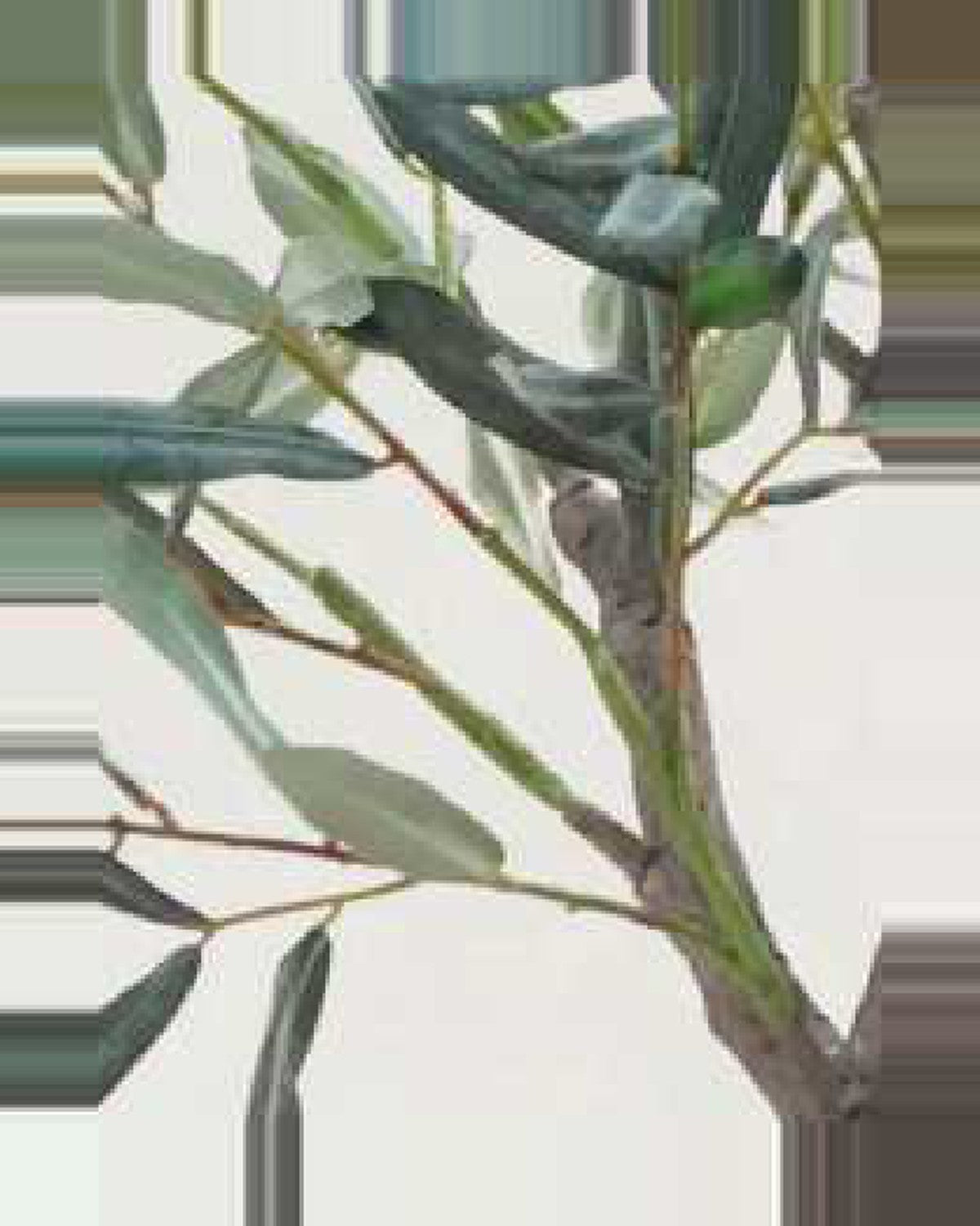 Ravello Fabric Olive Fruit Leaf Tree — close-up detail 4, artificial fabric olive fruit leaf tree