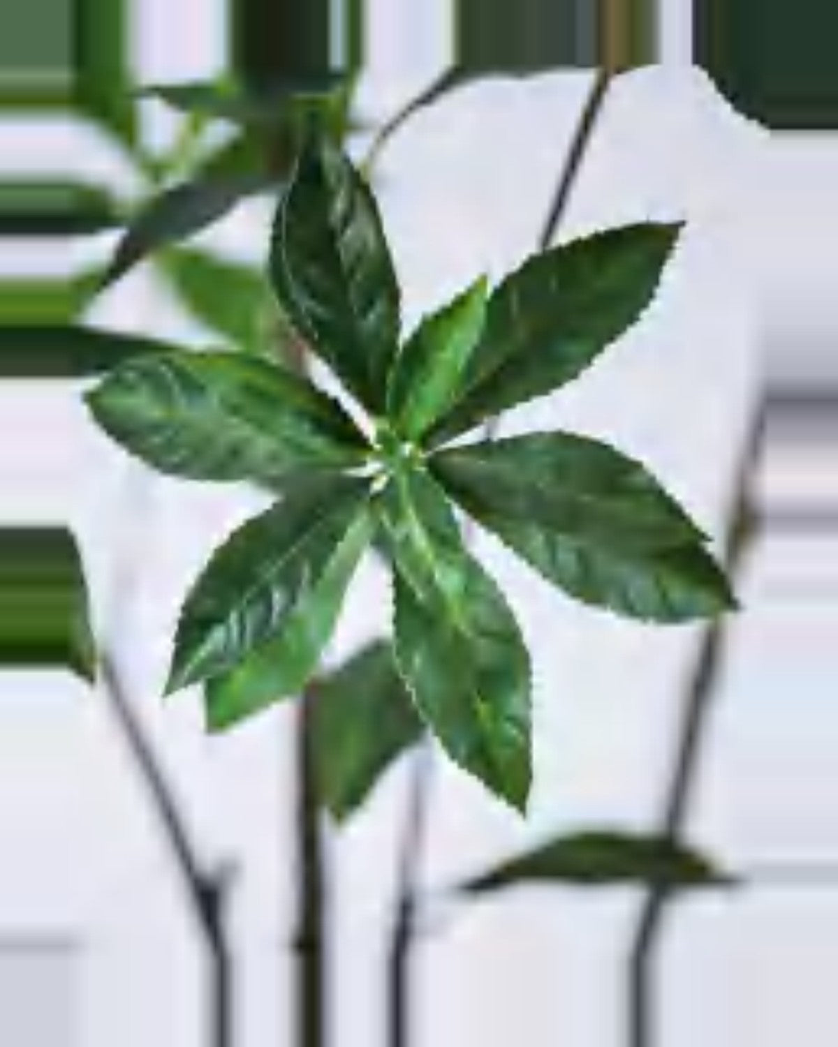 Nova Pieris Tree — close-up detail 4, artificial pieris tree