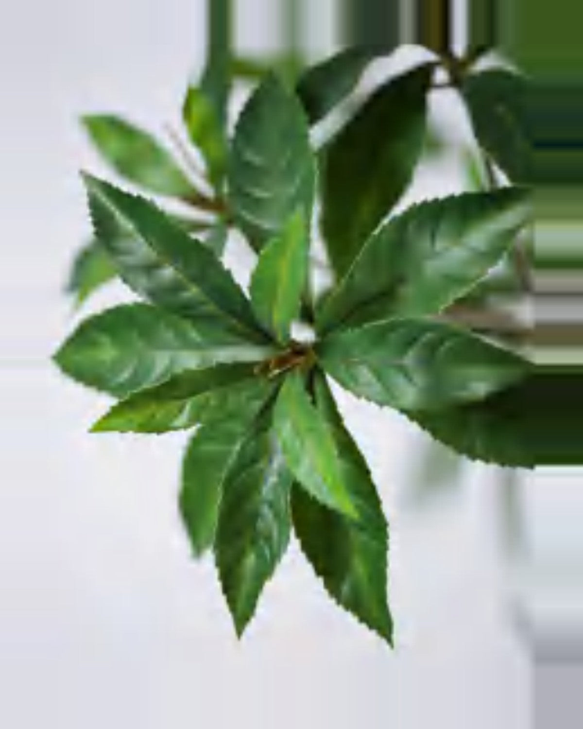 Luce Pieris Tree — close-up detail 4, artificial pieris tree