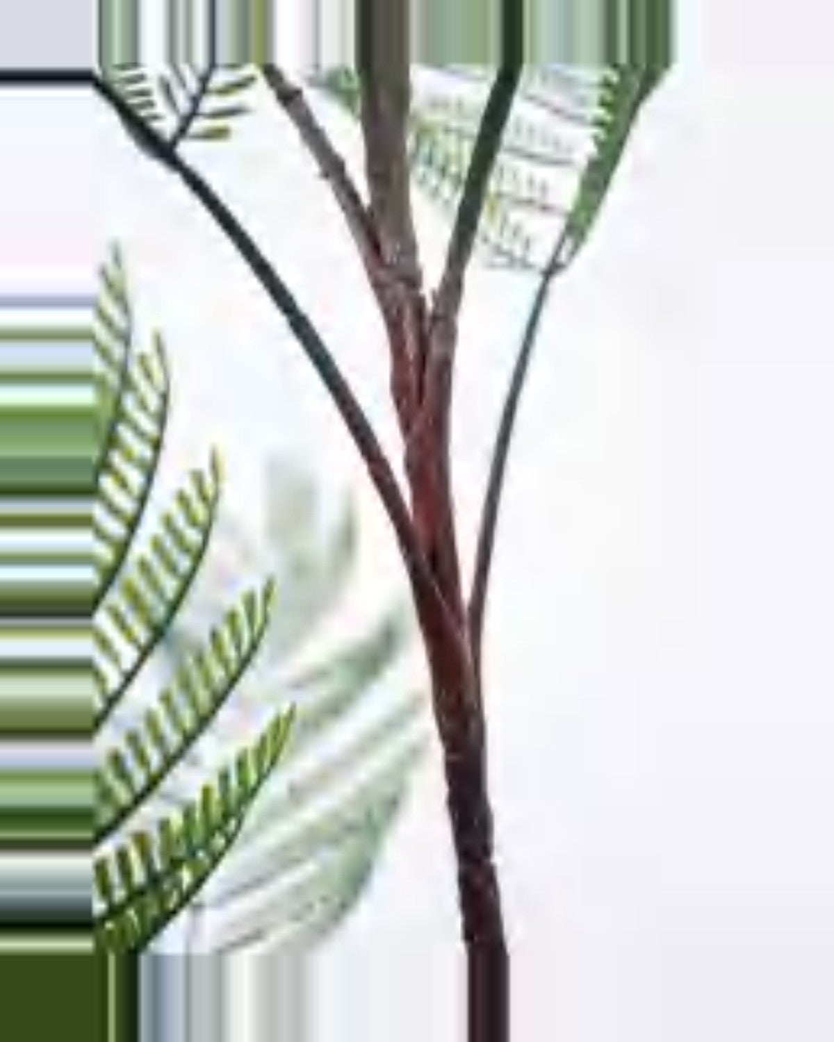 Garrigue Phoenix Palm Tree — close-up detail 4, artificial phoenix palm tree