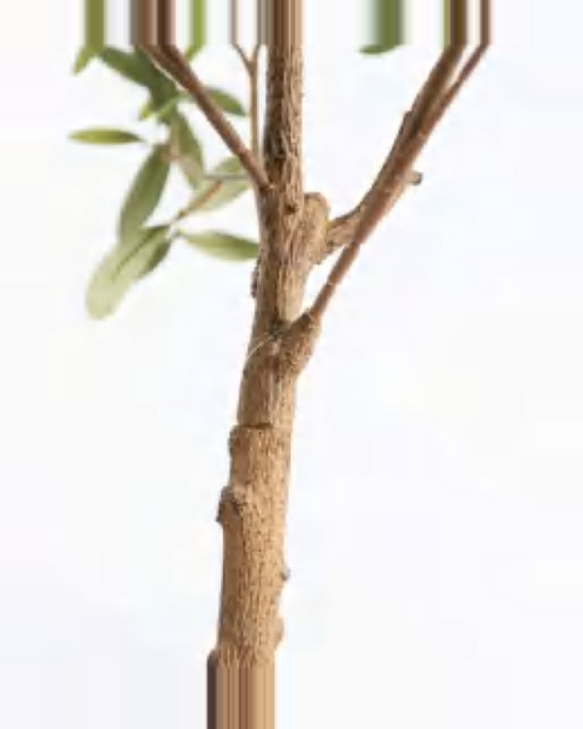 Fermo Olive Tree — close-up detail 4, artificial olive tree