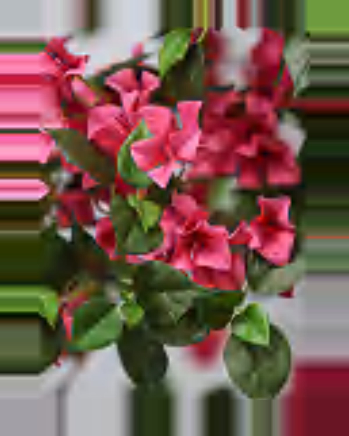 Cedre Bougainvillea Tree — close-up detail 4, artificial bougainvillea tree