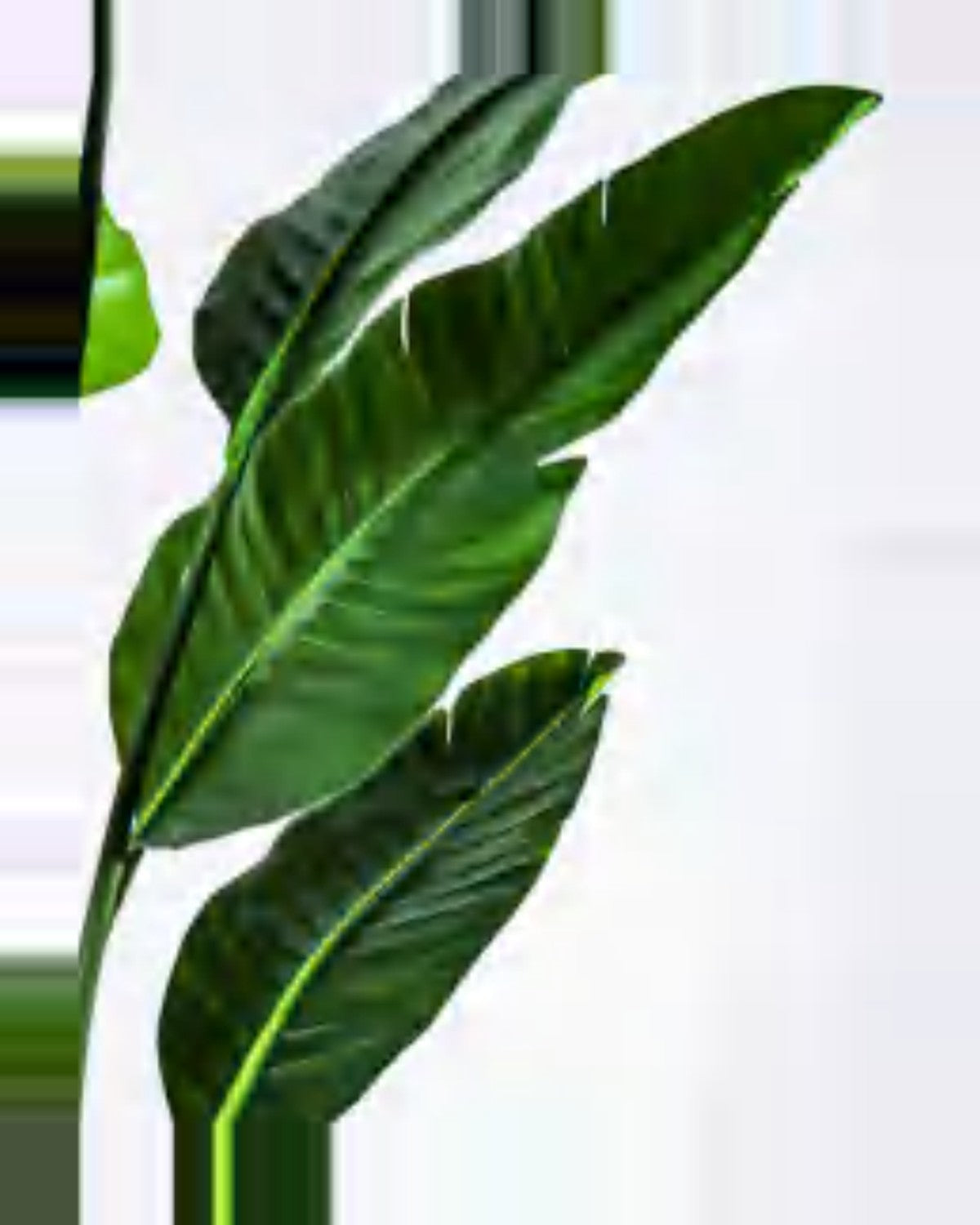 Bastide Travelers Palm Tree — close-up detail 4, artificial travelers palm tree