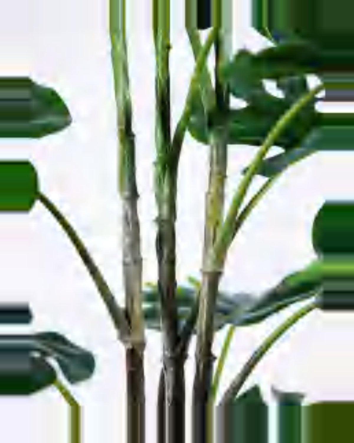 Lino Monstera Plant — close-up detail 4, artificial monstera plant