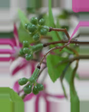 Lino Star Blossom Tree — close-up detail 4, artificial star blossom tree