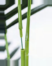 Garrigue Areca Palm Tree — close-up detail 9, artificial areca palm tree