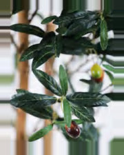 Ancona Olive Tree — close-up detail 4, artificial olive tree