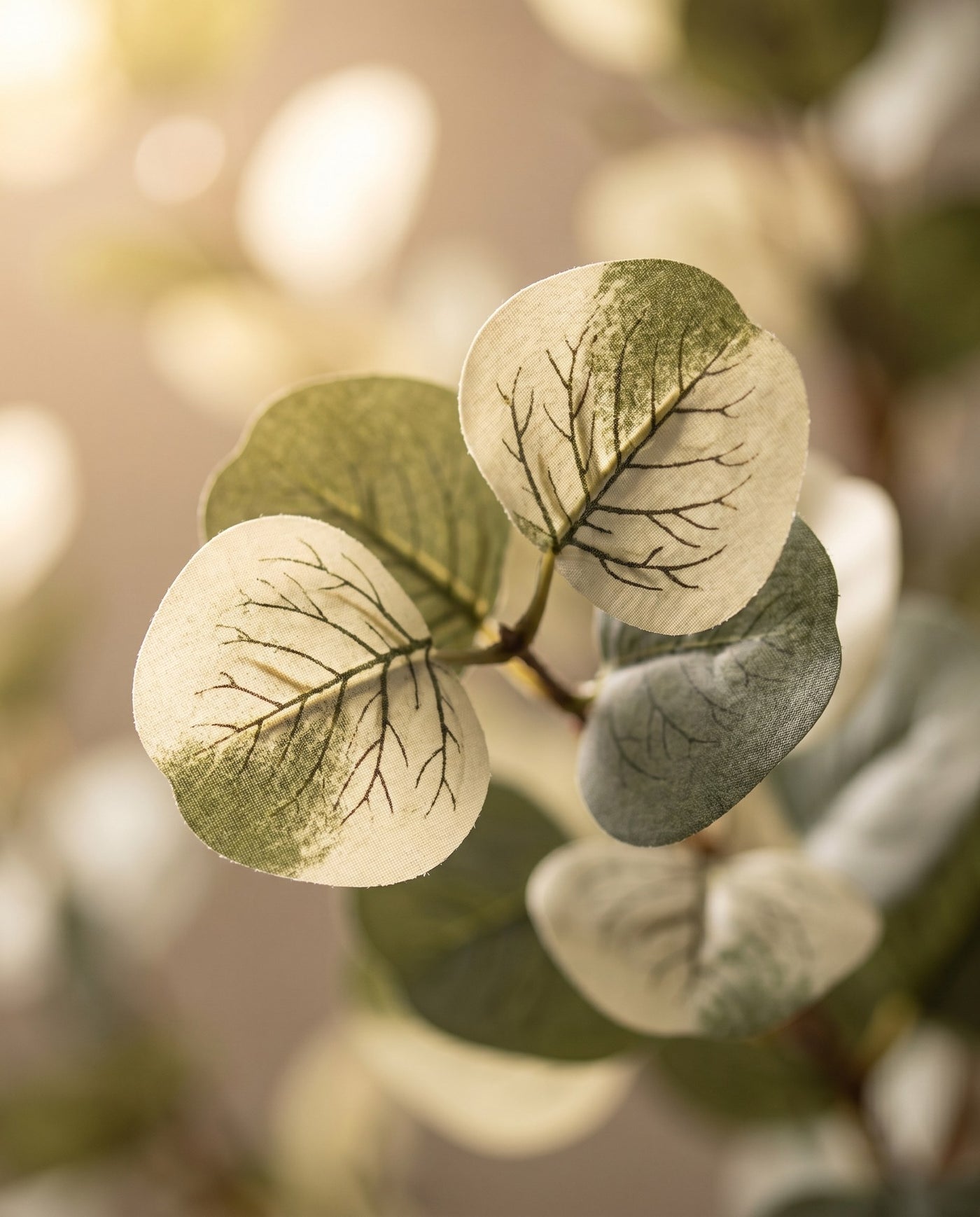 Maison Moya - Eucalyptus Round Leaf Faux Tree - 03 closeup-top