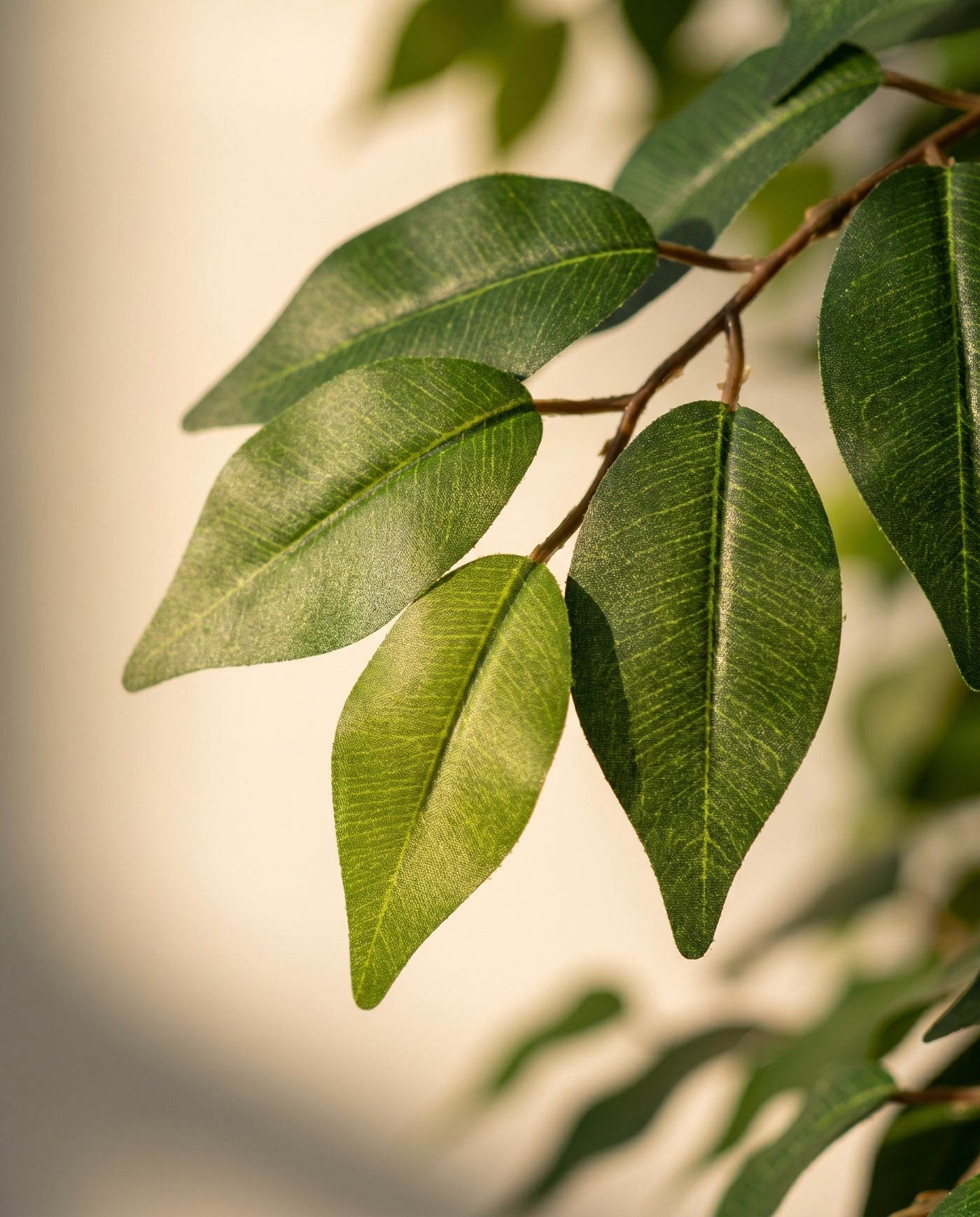 Maison Moya - Ficus Tree Natural Touch Indoor Tree - 03 closeup-top