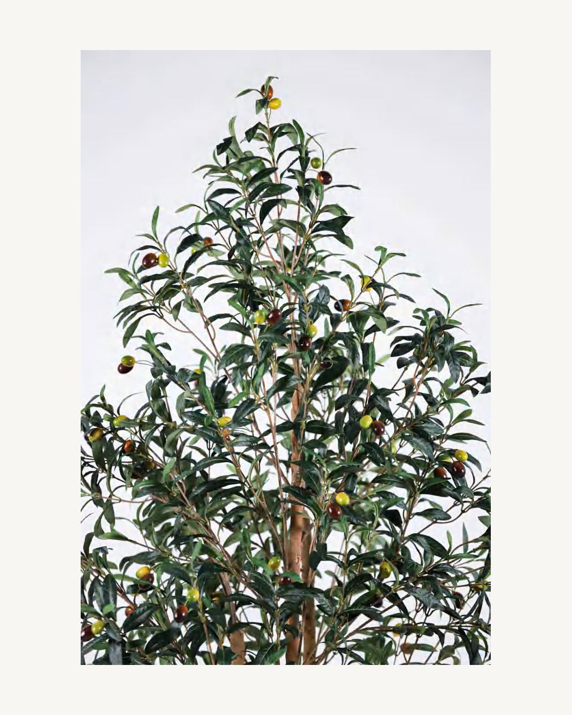 Formentera Artificial Olive Tree, full product studio view in the included nursery pot