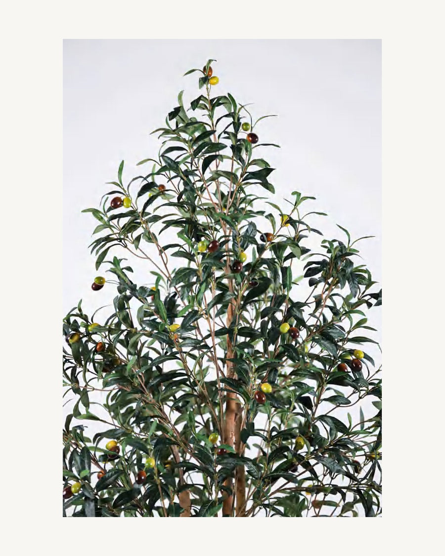 Formentera Artificial Olive Tree, 70.8 in