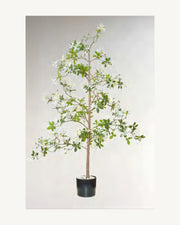 Garda Artificial Blossom Tree, Ivory, full product studio view in the included nursery pot