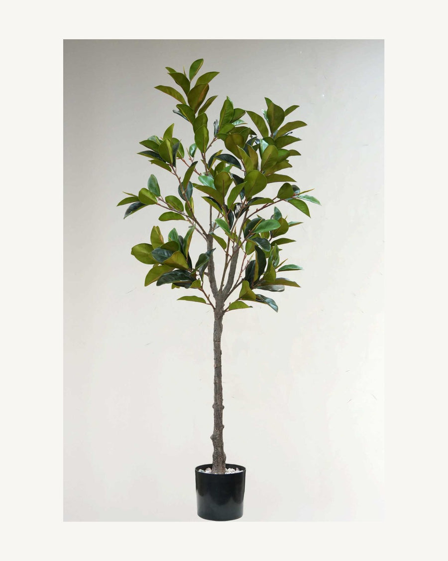 Garda Artificial Decorative Tree, 66.9 in