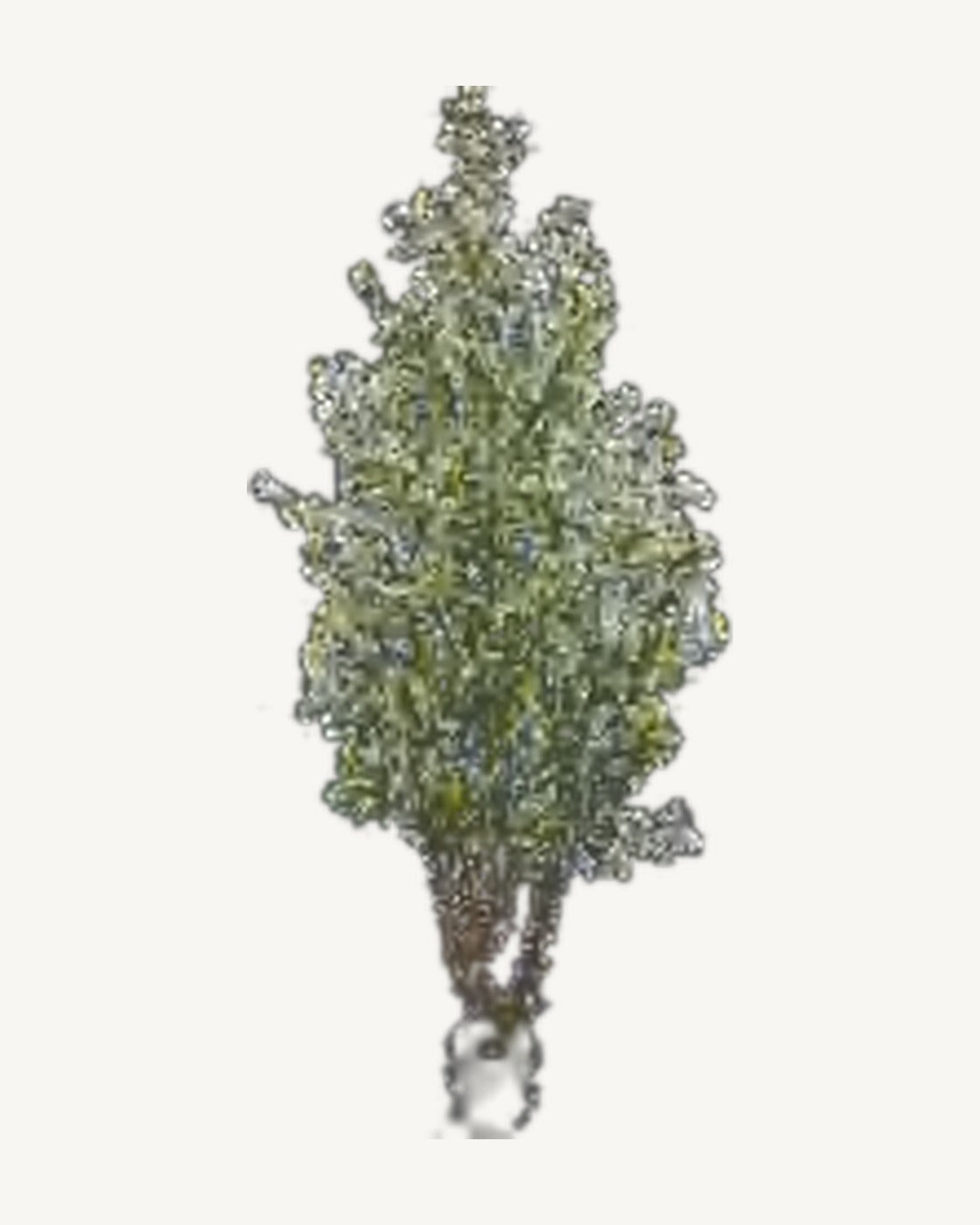 Grasse Artificial Olive Tree, full product studio view in the included nursery pot