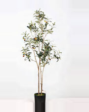 Ischia Olive Tree — studio packshot, artificial olive tree