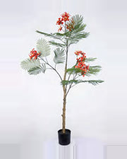 Cedre Royal Poinciana Tree — studio packshot, artificial royal poinciana tree
