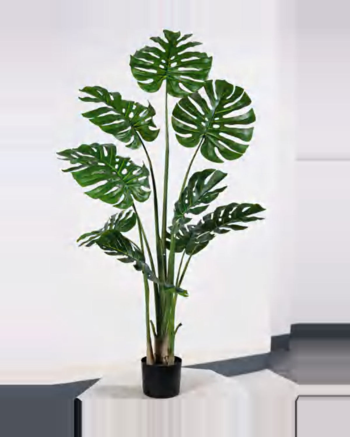 Argilla Monstera Plant — studio packshot, artificial monstera plant