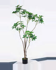 Vela Schefflera Tree — studio packshot, artificial schefflera tree