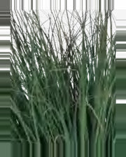 Ambra Onion Grass — studio packshot, artificial onion grass