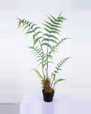 Cigale Boston Fern Plant — studio packshot, artificial boston fern plant