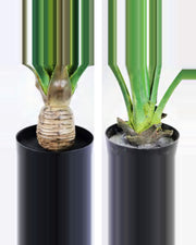 Estive Tropical Plants — studio packshot, artificial tropical plants