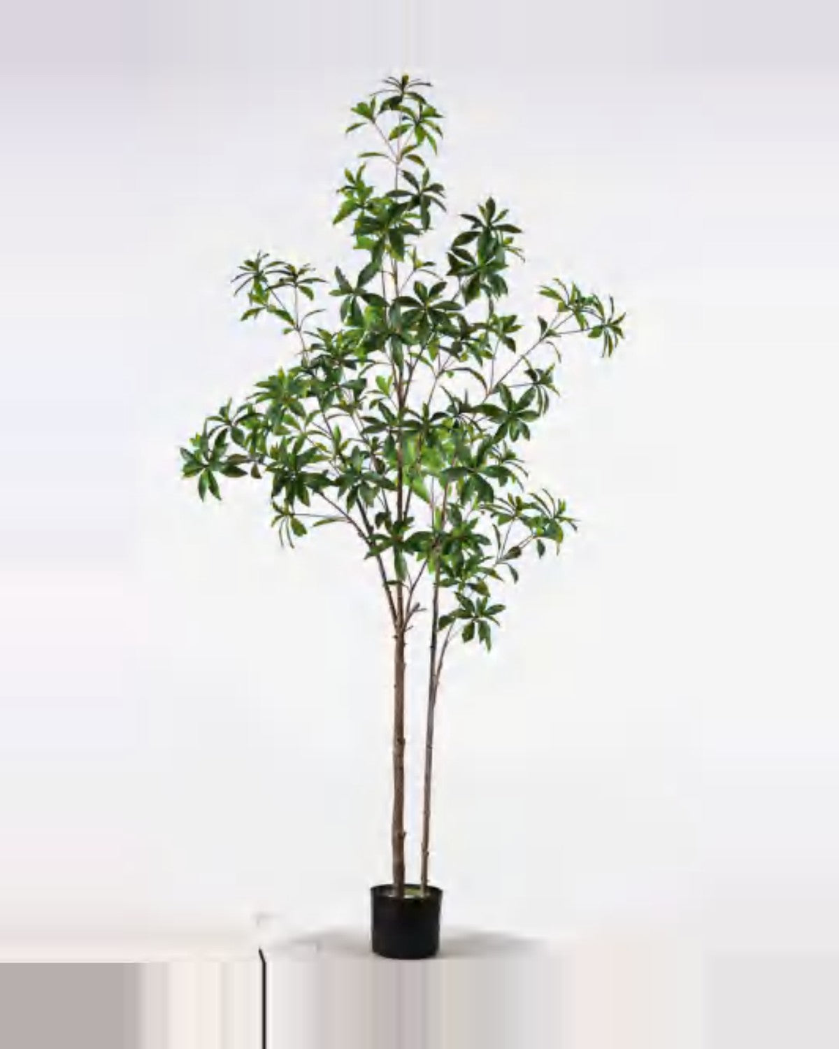 Luce Pieris Tree — studio packshot, artificial pieris tree