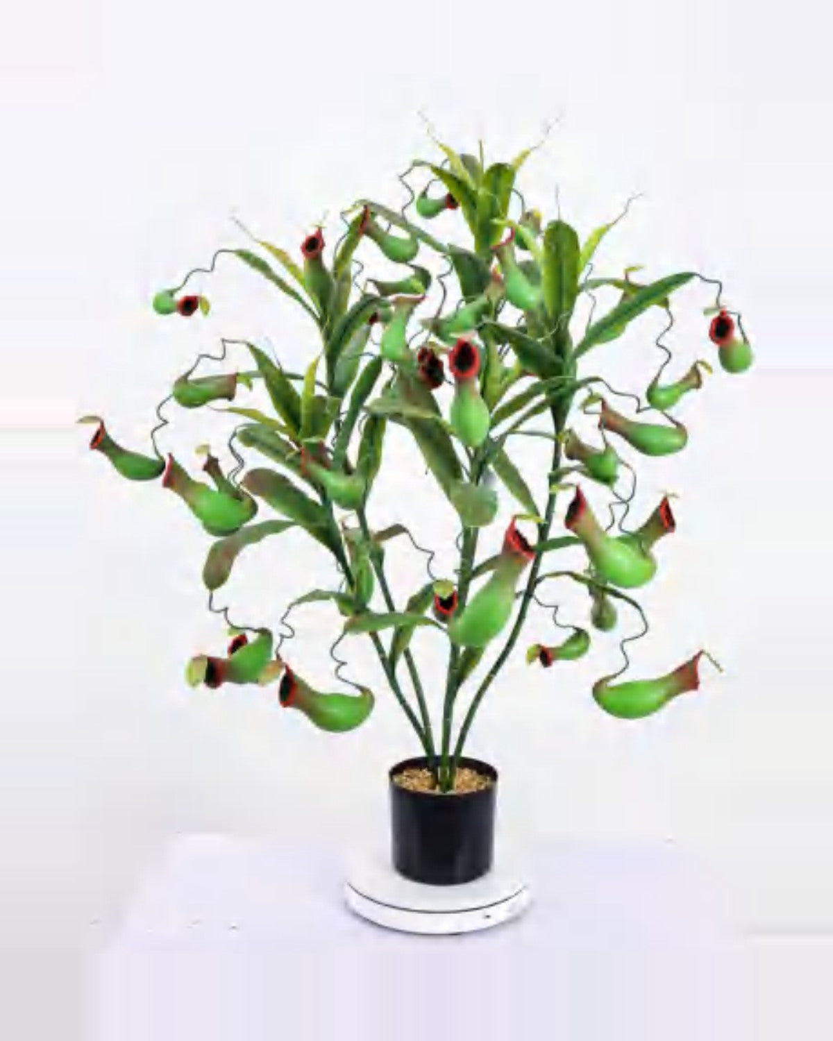 Aria Pitcher Plant — studio packshot, artificial pitcher plant