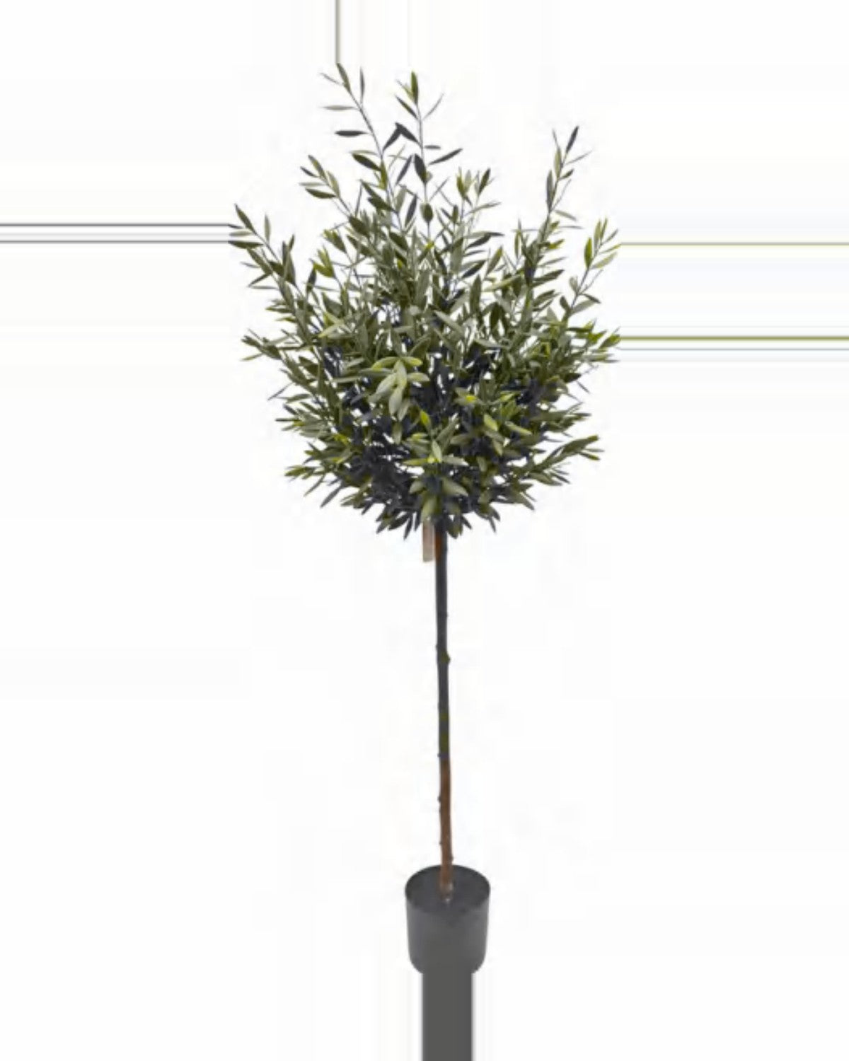 Modica Olive Tree — studio packshot, artificial olive tree