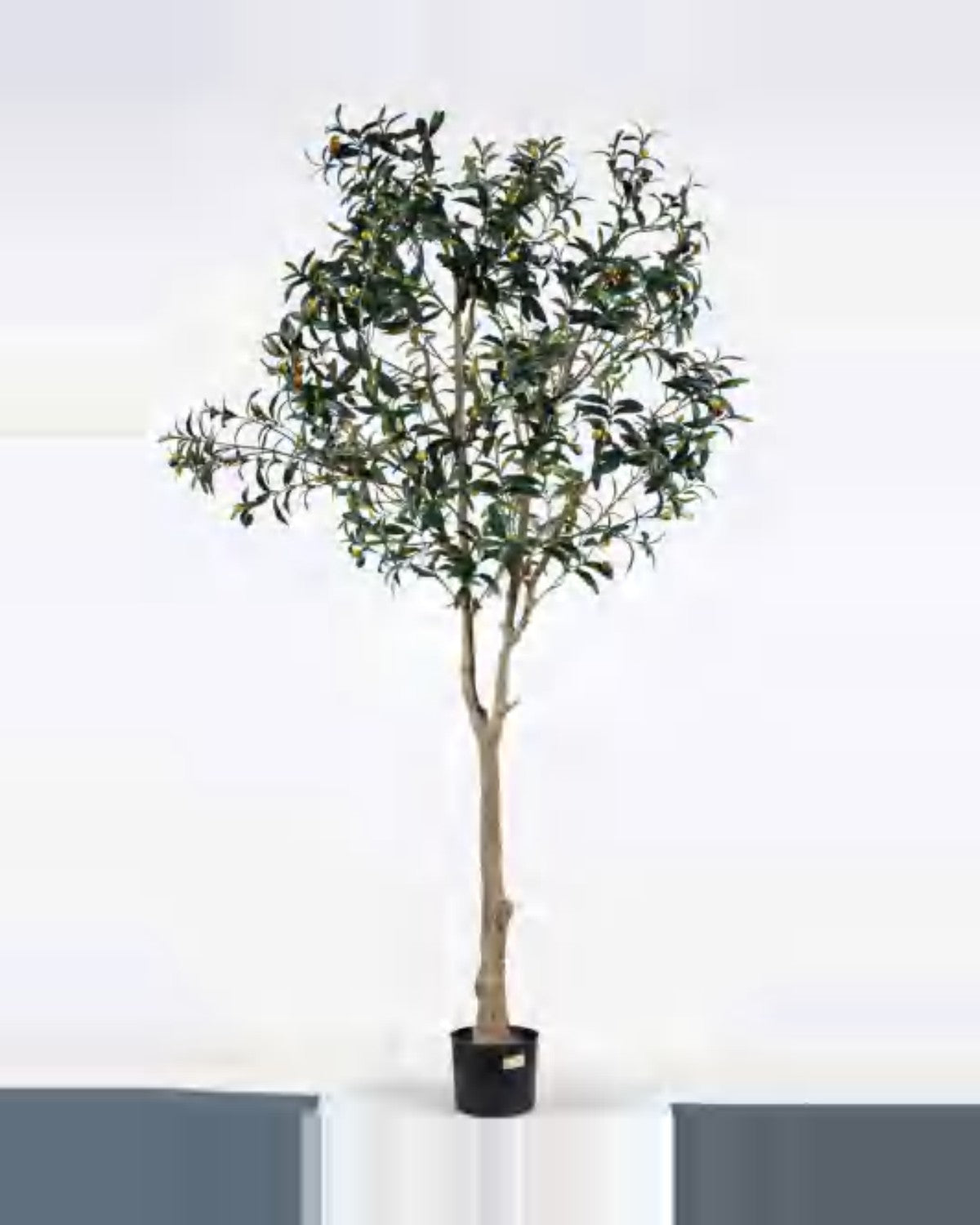 Urbino Olive Tree — studio packshot, artificial olive tree