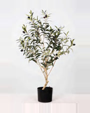 Positano Olive Tree — studio packshot, artificial olive tree