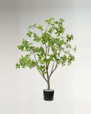 Pietra Gardenia Tree With White Flowers — studio packshot, artificial gardenia tree with white flowers