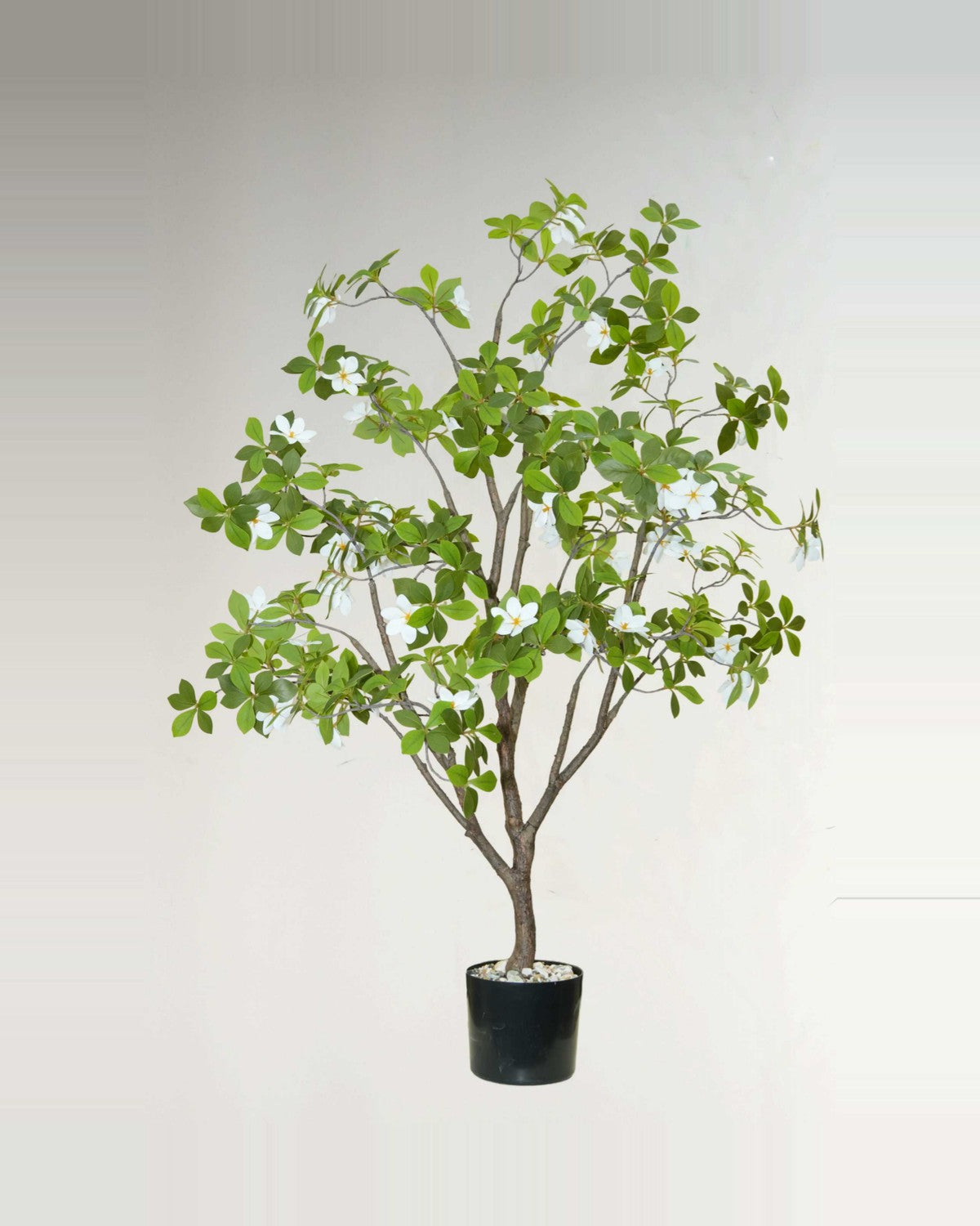 Pietra Gardenia Tree With White Flowers — studio packshot, artificial gardenia tree with white flowers