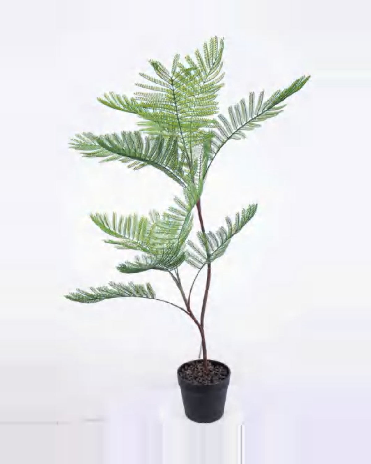 Garrigue Phoenix Palm Tree — studio packshot, artificial phoenix palm tree