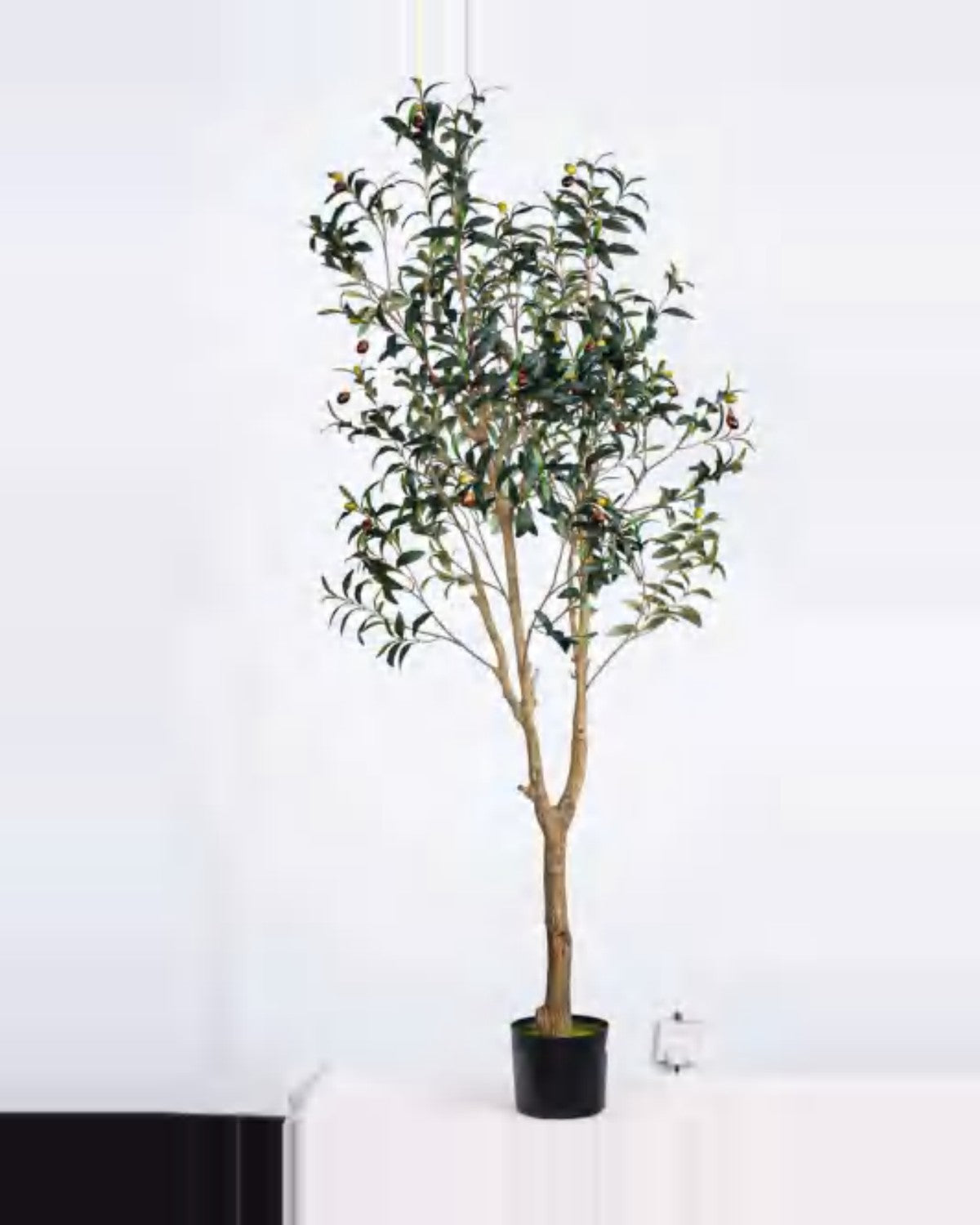 Todi Olive Tree — studio packshot, artificial olive tree