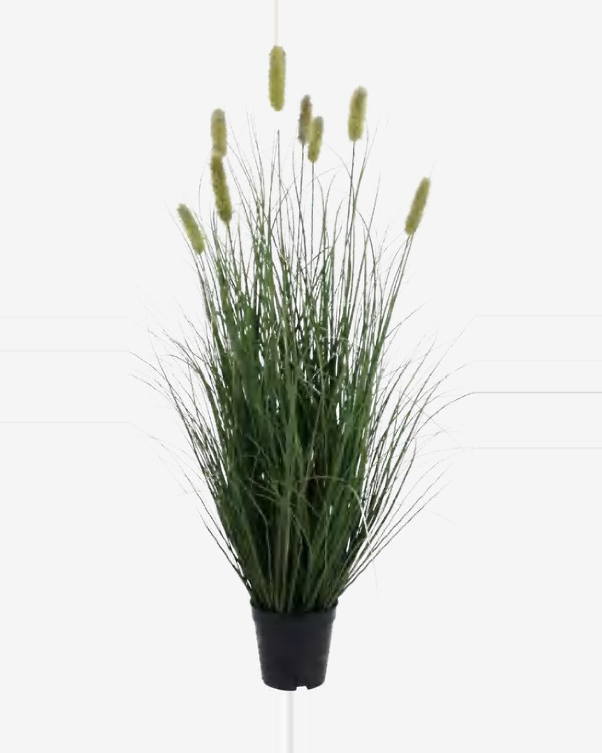 Argilla Onion Grass — studio packshot, artificial onion grass